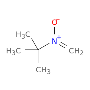 2-Propanamine, 2-methyl-N-methylene-, N-oxide