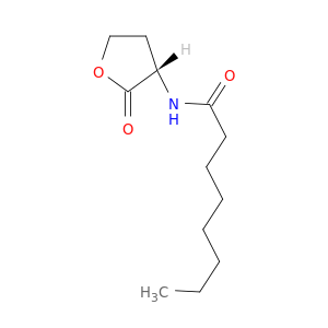 N-辛酰基-L-高丝氨酸内酯