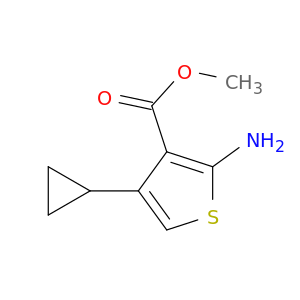 甲基2-氨基-4-环丙基噻吩-3-甲酸基酯