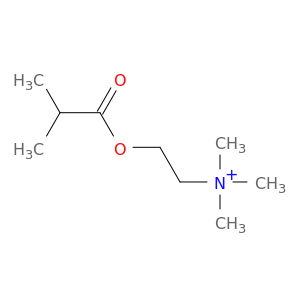 Ethanaminium, N,N,N-trimethyl-2-(2-methyl-1-oxopropoxy)-