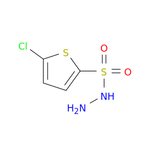 2-Thiophenesulfonicacid, 5-chloro-, hydrazide