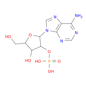 腺苷2- 一磷酸