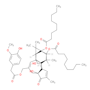 PDNHV