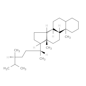Ergostane, (10a)- (9CI)