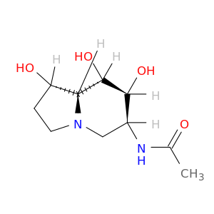 6-ACETAMIDO-6-DEOXY-CASTANOSPERMINE