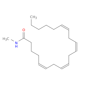 Arachidonoyl-N-methyl amide