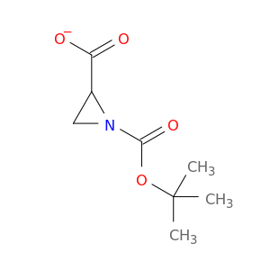 1-(1,1-二甲基乙基)1,2-己二碳二羧酸盐