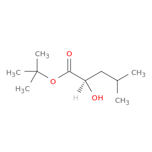 (R)-2-羟基-4-甲基戊酸叔丁酯