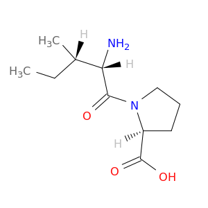 L-异亮氨酰-L-脯氨酸