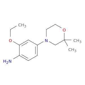 4-(2,2-dimethylmorpholin-4-yl)-2-ethoxyaniline