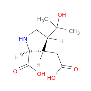 3-Pyrrolidineaceticacid, 2-carboxy-4-(1-hydroxy-1-methylethyl)-, [2S-(2a,3b,4a)]- (9CI)