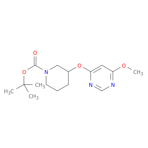 3-(6-甲氧基-嘧啶-4-基氧基)-哌啶-1-羧酸叔丁基酯