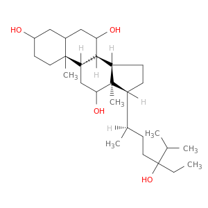 24-ETHYLCHOLESTANE-3,7,12,24-TETROL