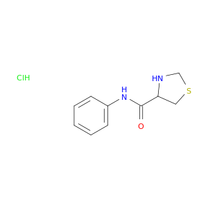 N-Phenyl-1,3-thiazolidine-4-carboxamide Hydrochloride