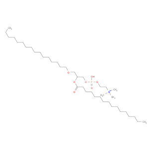 1-O-Palmityl-2-palmitoyl-rac-glycero-3-phosphocholine