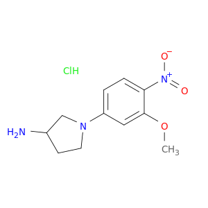 1-(3-甲氧基-4-硝基-苯基)-吡咯烷-3-基胺盐酸盐