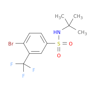 4-溴-N-(叔丁基)-3-(三氟甲基)苯磺酰胺