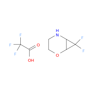 7,7-二氟-2-氧肟-5-氮杂双环[4.1.0]庚烷; 2,2,2-三氟乙酸
