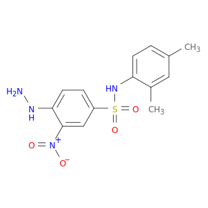 N-(2,4-Dimethylphenyl)-4-hydrazinyl-3-nitrobenzenesulfonamide