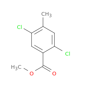 苯甲酸,2,5-二氯-4-甲基-,甲酯