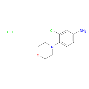 3-Chloro-4-morpholinoaniline hydrochloride