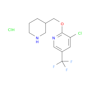 3-氯-2-(哌啶-3-基甲氧基)-5-三氟甲基-吡啶盐酸盐