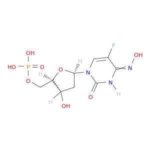 5'-Uridylic acid,2'-deoxy-5-fluoro-, 4-oxime (9CI)