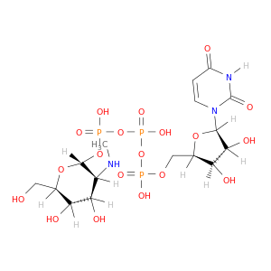[[(2R,3R,4R,5S,6R)-4,5-dihydroxy-6-(hydroxymethyl)-3-methylamino-oxan-2-yl]oxy-hydroxy-phosphoryl]oxy-[[(2R,3R,4R,5R)-5-(2,4-dioxopyrimidin-1-yl)-3,4-dihydroxy-oxolan-2-yl]methoxy-hydroxy-phosphoryl]oxy-phosphinic acid