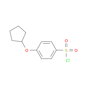 4-(环戊氧基)苯-1-磺酰氯