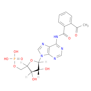 5'-Adenylic acid, N-(2-acetylbenzoyl)-