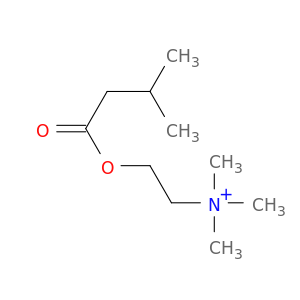 Ethanaminium,N,N,N-trimethyl-2-(3-methyl-1-oxobutoxy)-