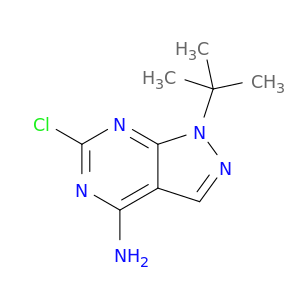 1-tert-Butyl-6-chloro-1H-pyrazolo[3,4-d]pyrimidin-4-amine