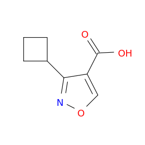 3-环丁基异噁唑-4-羧酸