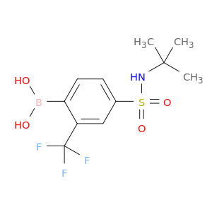 4-(N-tert-Butylsulfamoyl)-2-trifluoromethylphenylboronic acid