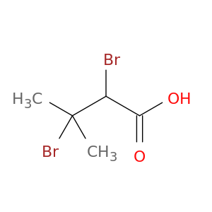 2,3-Dibromo-3-methylbutanoic acid