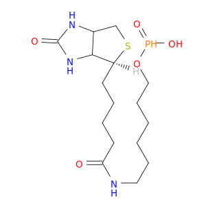 6-N-Biotinylaminohexyl Hydrogenphosphonate