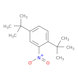 2,5-二叔丁基硝基苯