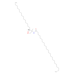 N-LIGNOCEROYL-D-ERYTHRO-SPHINGANINE;C24 DIHYDROCERAMIDE (D18:0/24:0)