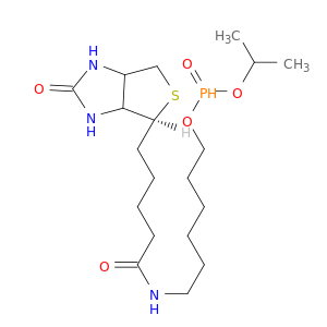 6-N-Biotinylaminohexyl Isopropyl Hydrogenphosphonate