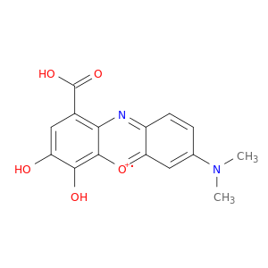 Phenoxazin-5-ium, 1-carboxy-7-(dimethylamino)-3,4-dihydroxy-