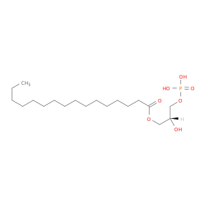 1-palmItoyl-sn-甘油3-磷酸盐