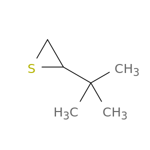 Thiirane, 2-(1,1-dimethylethyl)-