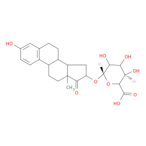 16α-Hydroxyestrone 16-β-D-Glucuronide