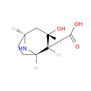 8-Azabicyclo[3.2.1]octane-2-carboxylicacid, 3-hydroxy-, (1R,2R,3S,5S)-