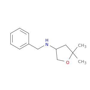 N-Benzyl-5,5-dimethyloxolan-3-amine