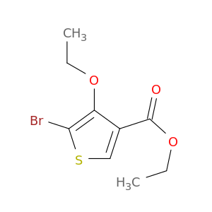 Ethyl 5-bromo-4-ethoxythiophene-3-carboxylate
