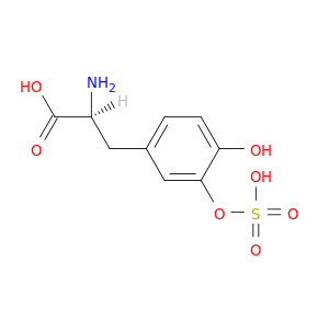 3-(磺氧基)-1-酪氨酸