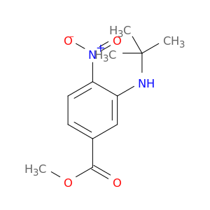 苯甲酸,3-[(1,1-二甲基乙基)氨基]-4-硝基-,甲酯