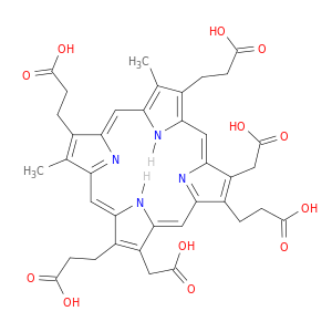 HexaporphyrinI.
