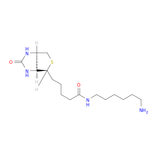 (3AS,4S,6AR)-N-(6-氨基己基)六氢-2-氧代-1H-噻吩并[3,4-D]咪唑-4-戊酰胺